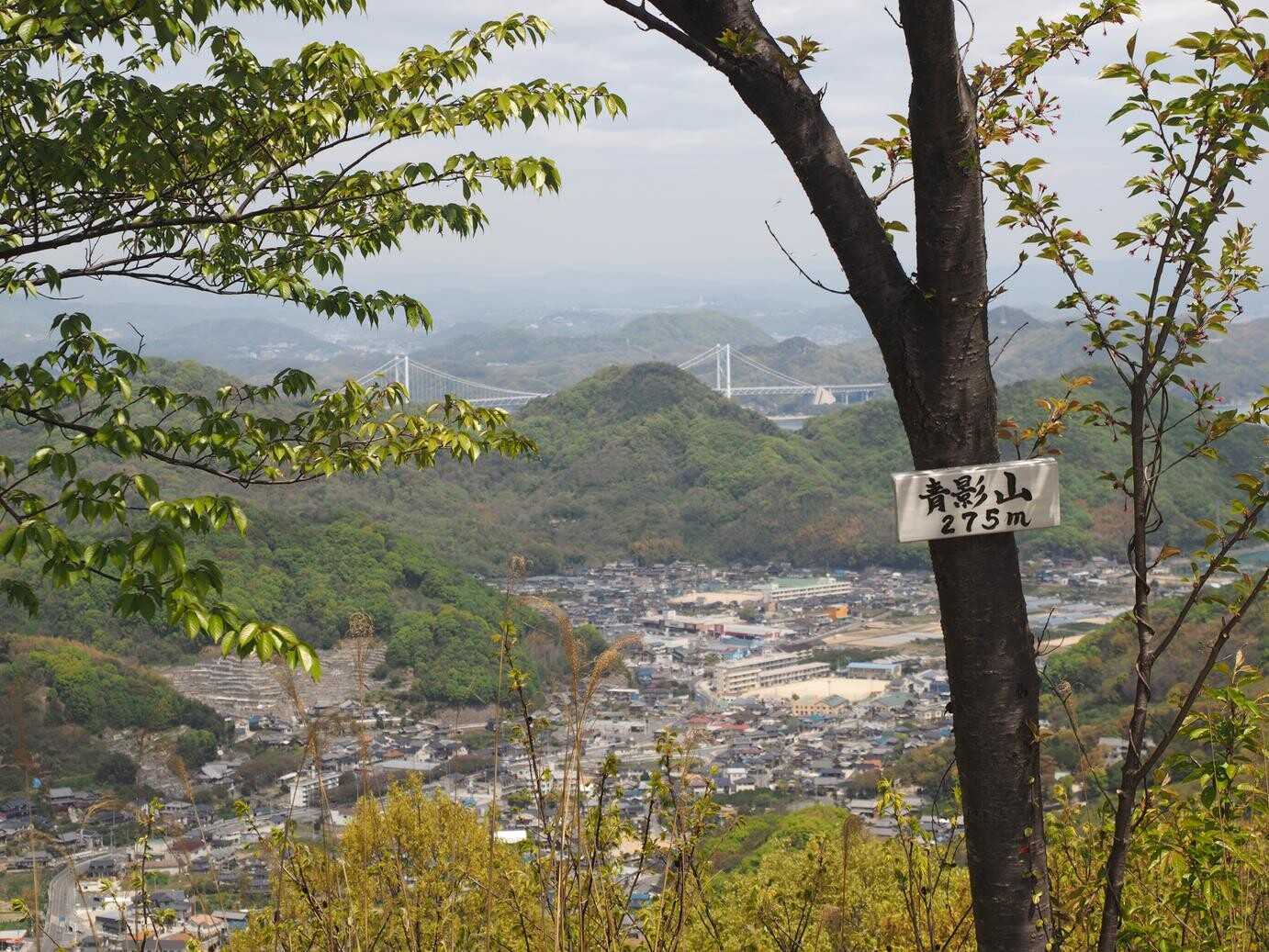 青影山（城山）の写真