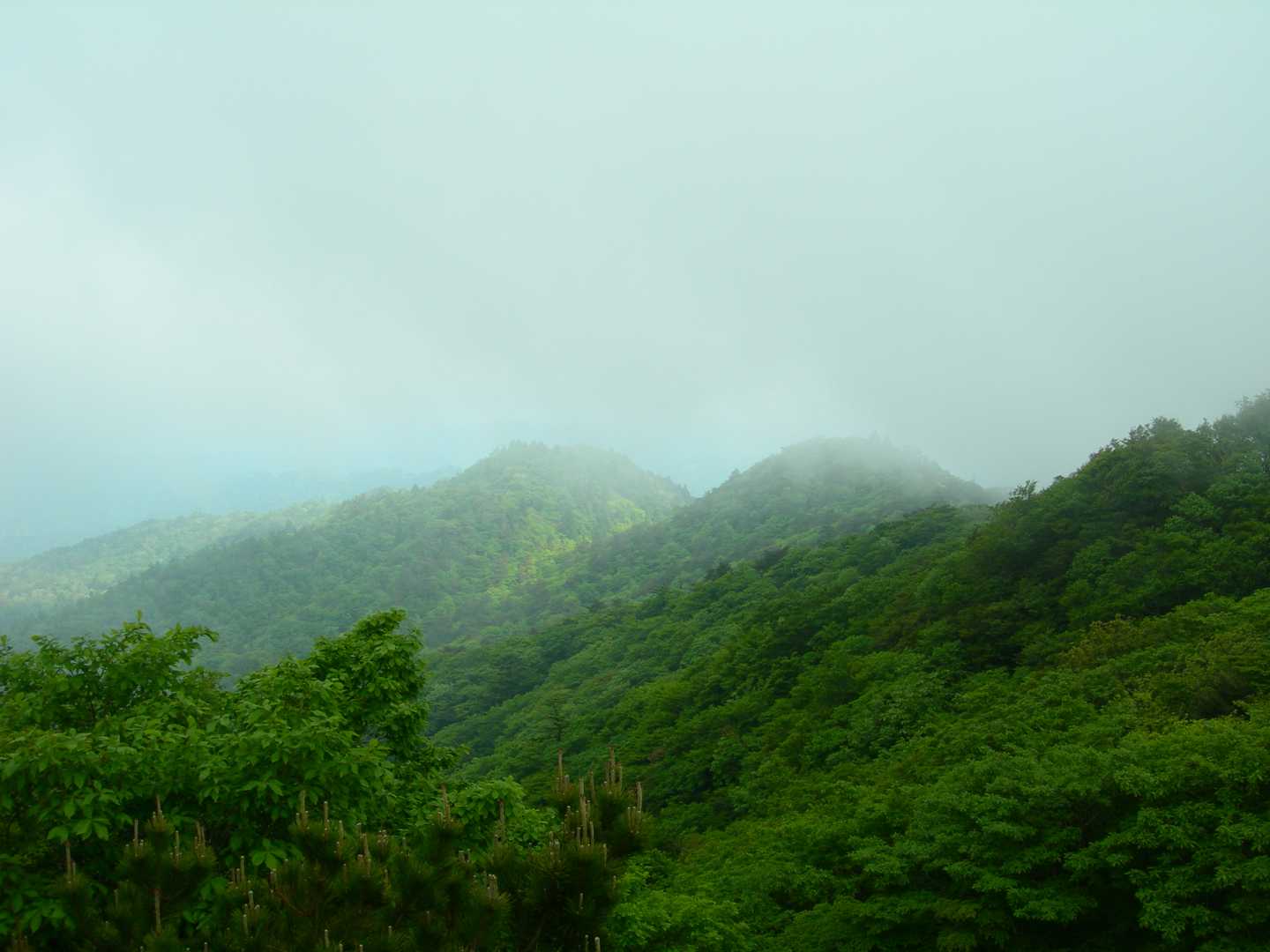 石榑峠-三池岳-八風峠-北仙香山-中峠 往復コースの写真