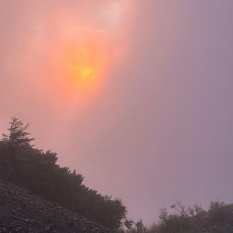 でも幻想的で良き