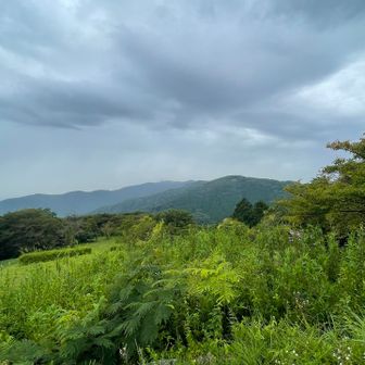 今夜から台風🌀接近するようです