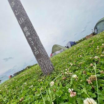 【やまと山】標高53.3mの山頂はクローバーでいっぱいです╰(*´︶`*)╯☘️🍀☘️