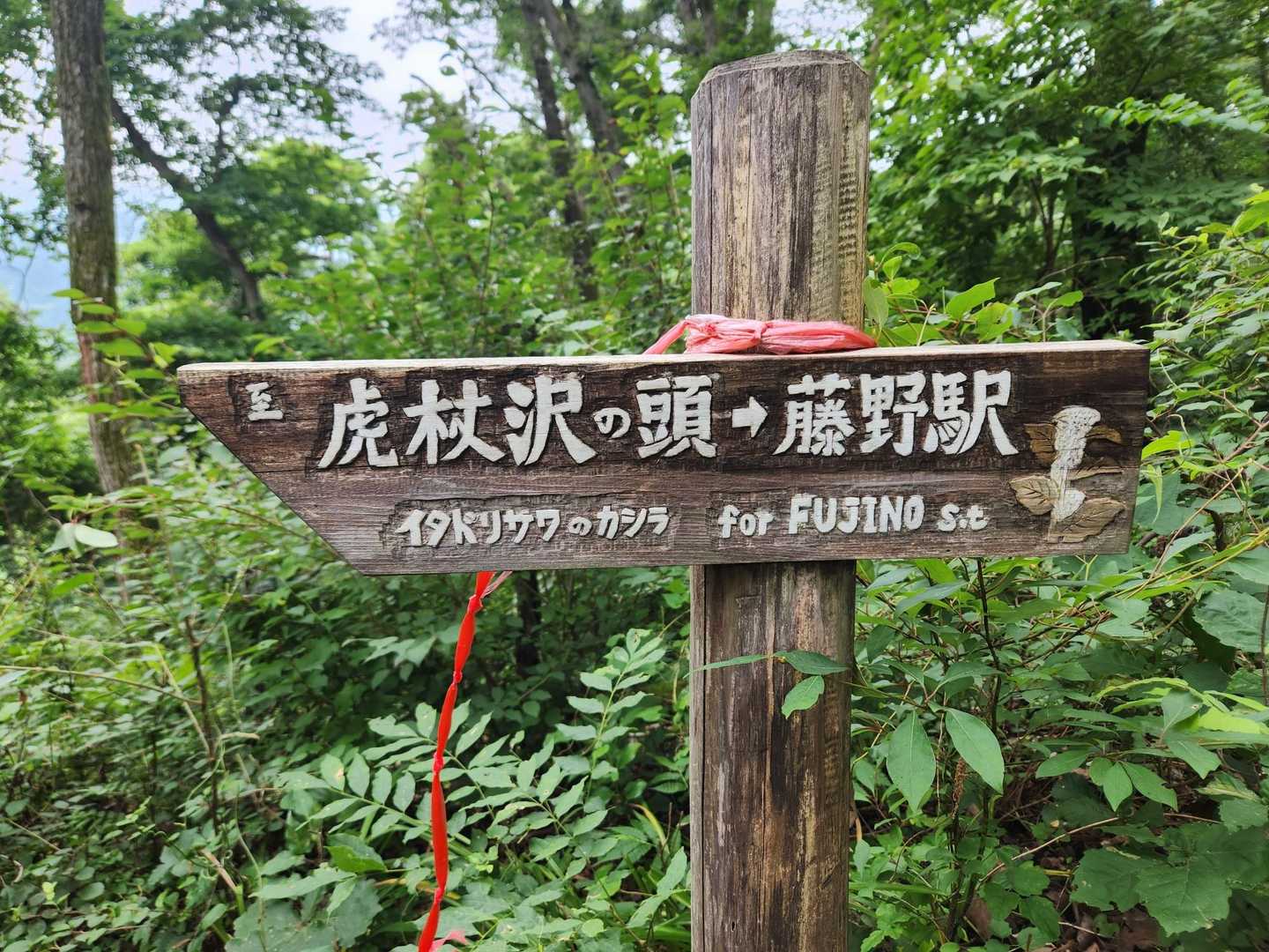 本当に細かいところまで綺麗に彫ってあるよね〜👀