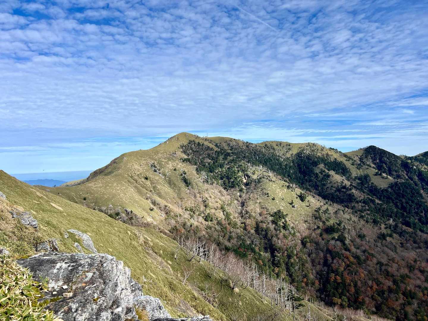 タロー⛰️✨