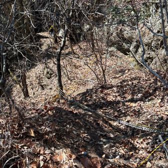 引き返す羽目に