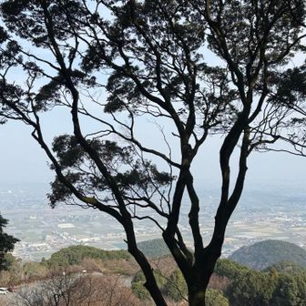 山頂からの眺望