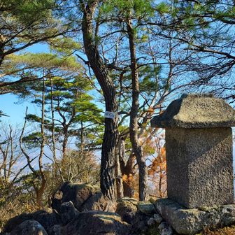 木段終わってからは、落ち葉🍂で滑るしルートも不明瞭で写真とる余裕も無し😭

いつも後ろを付いて歩いてるありがたさをひしひしと感じた😂

この時はまだ堀坂山経由下山も考えてたので、先に愛宕山に寄ってみた