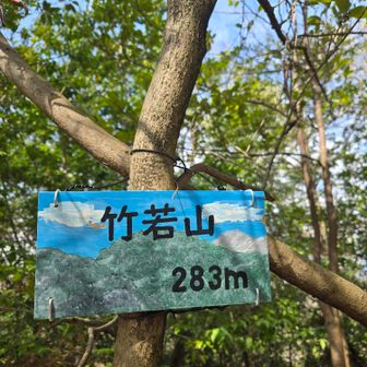 竹若山🏔️
