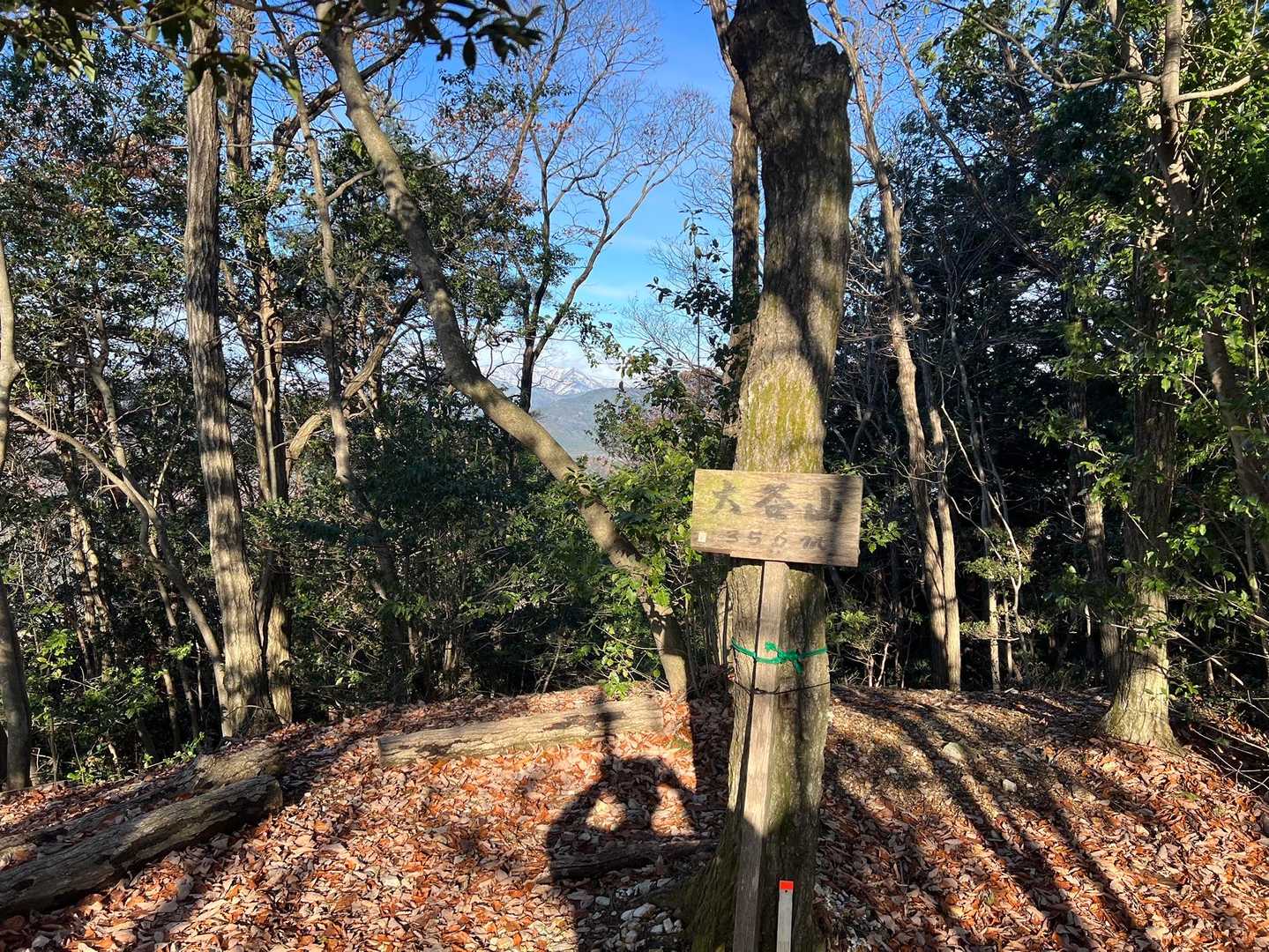大谷山山頂に…