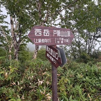 ここまで来ると比較的穏やかな稜線歩きに