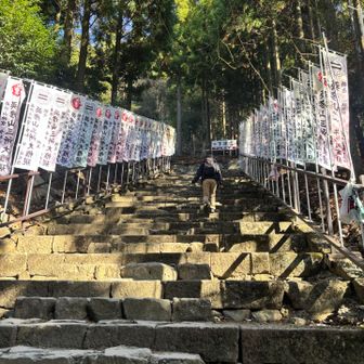 山頂までずっと階段…