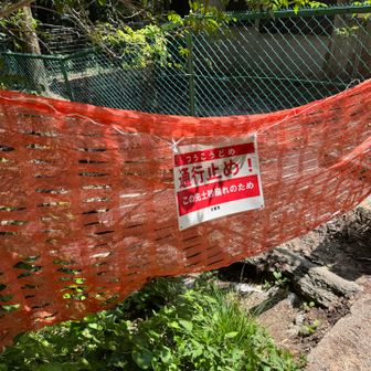 上側からは　どっちなんかい！