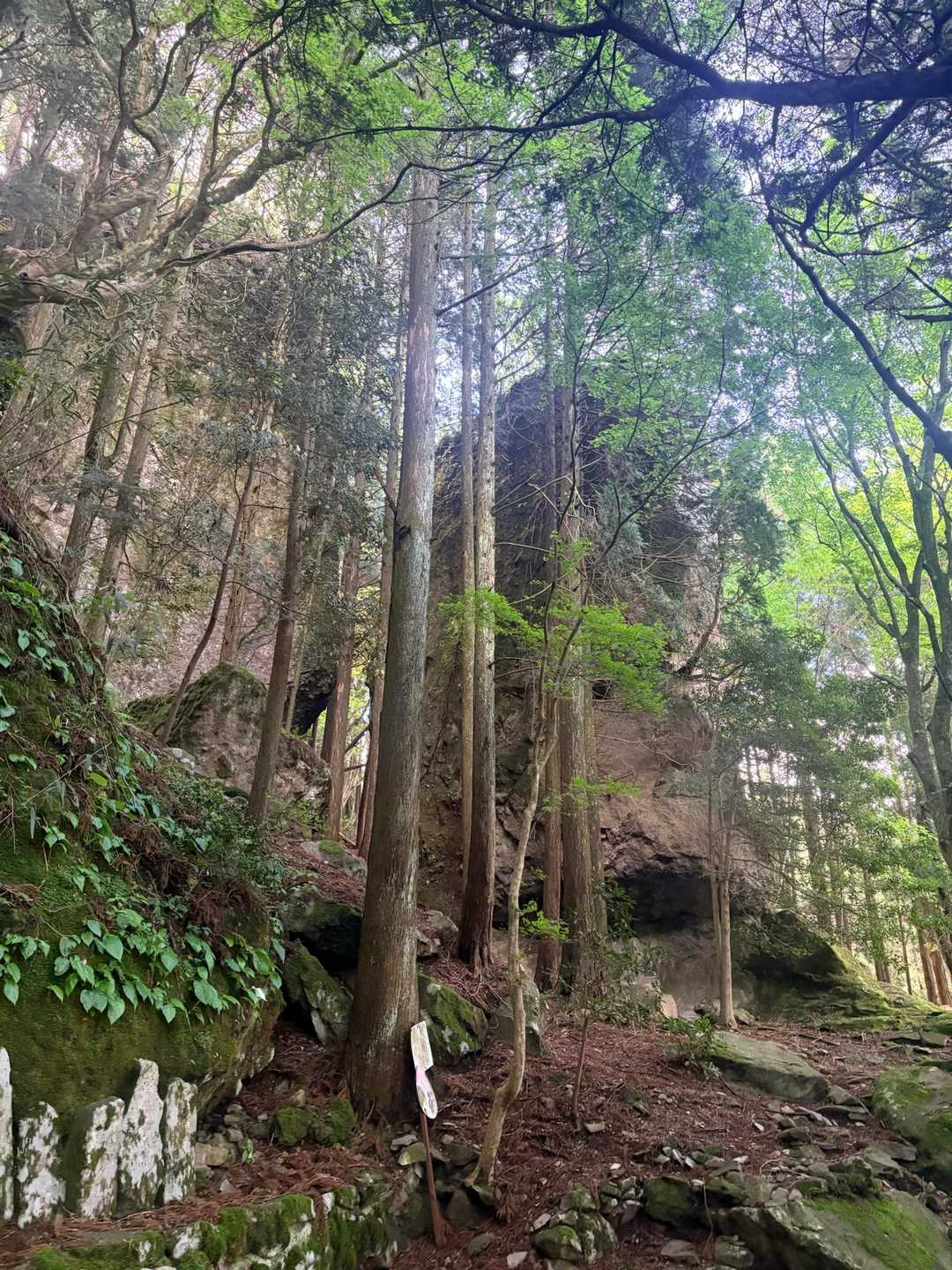 大岩🪨