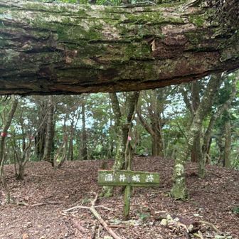 とりあえず登って降りる
