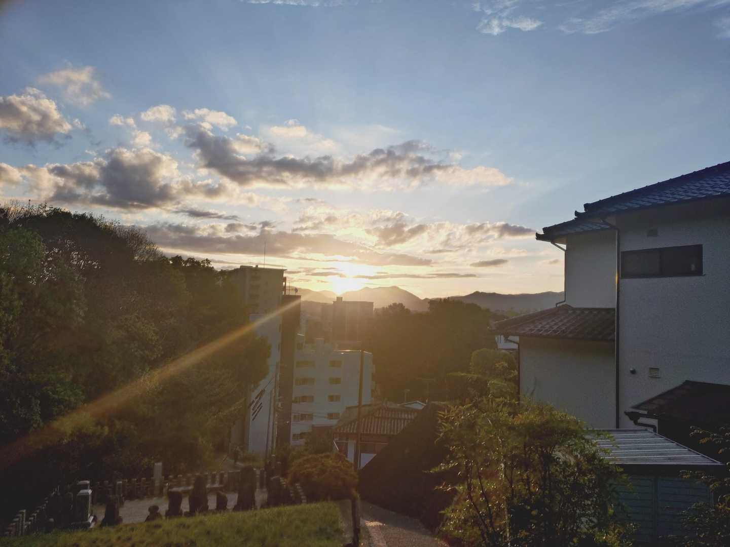 武田山登山口-目薬峠-武田山 往復コースの写真