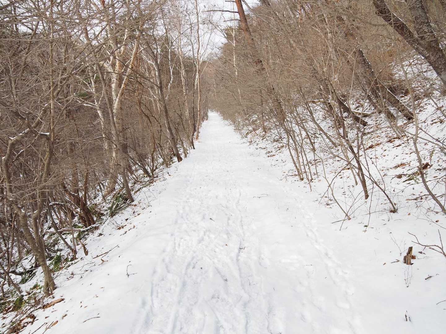 なだらか〜🚶‍♀️