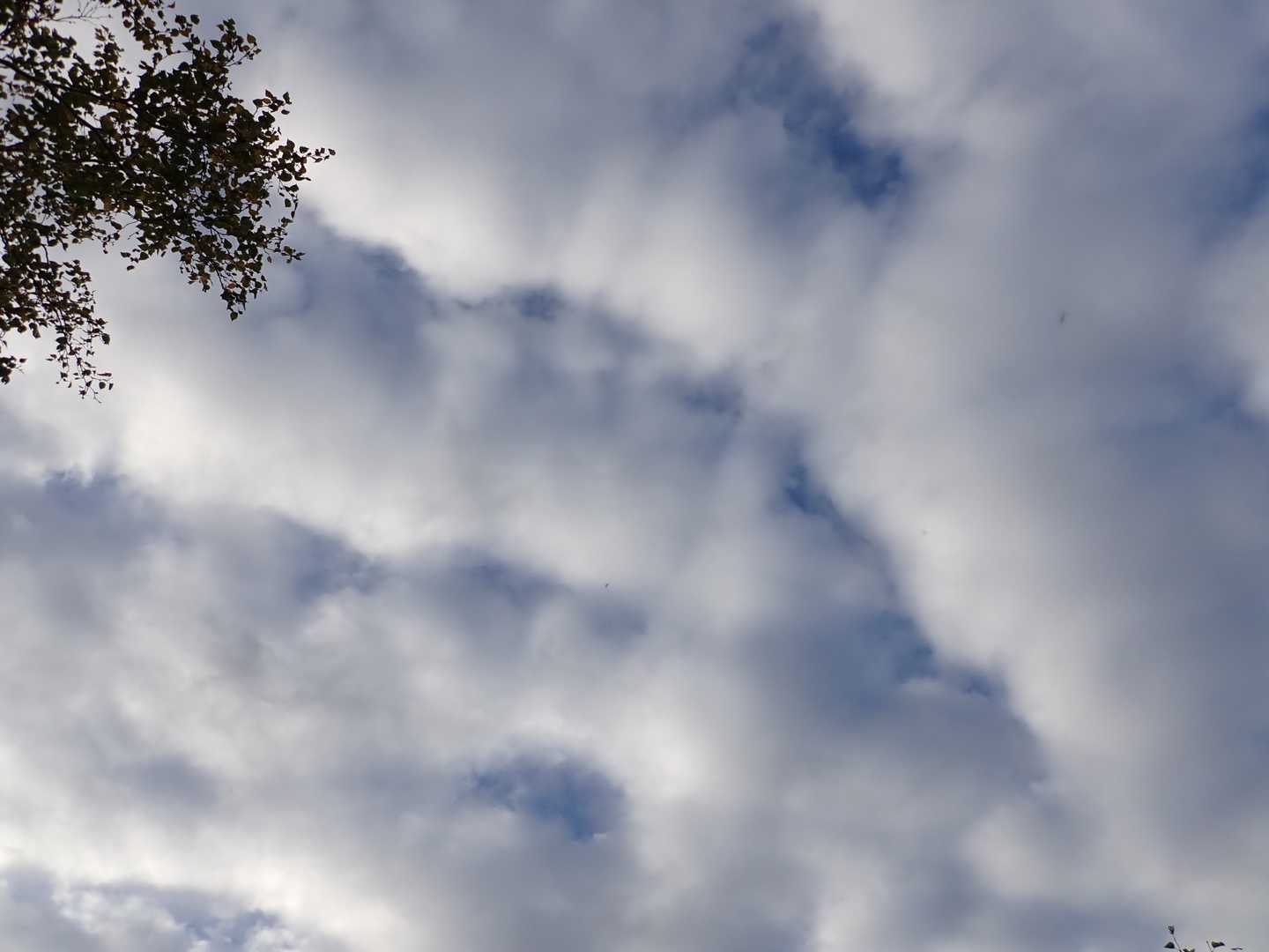 この日の予報は、微妙でした。
風と雲の動きを見ながら、行き先を決めよう！🤔
