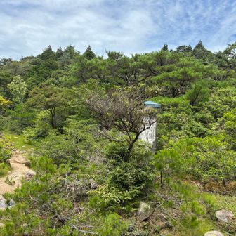 羽鳥峰湿原で…
え〜…なアクシデント発生😱
アテンド責任者として
「残念ですがこの先の安全（急変）を考えて戻ります」
皆さんご納得ありがとう😊
