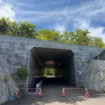 夏の塩谷丸山無事下山。
塩谷丸山ありがとうございました😊次は冬の塩谷丸山に登りにきます😁