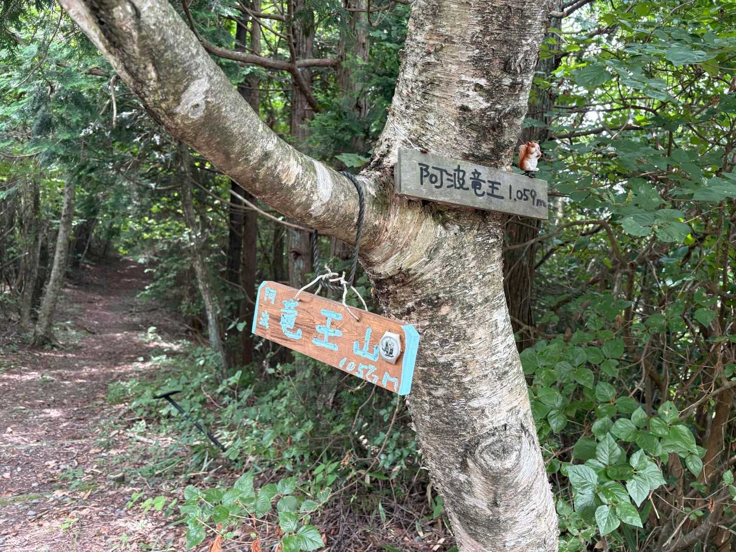 竜王山
