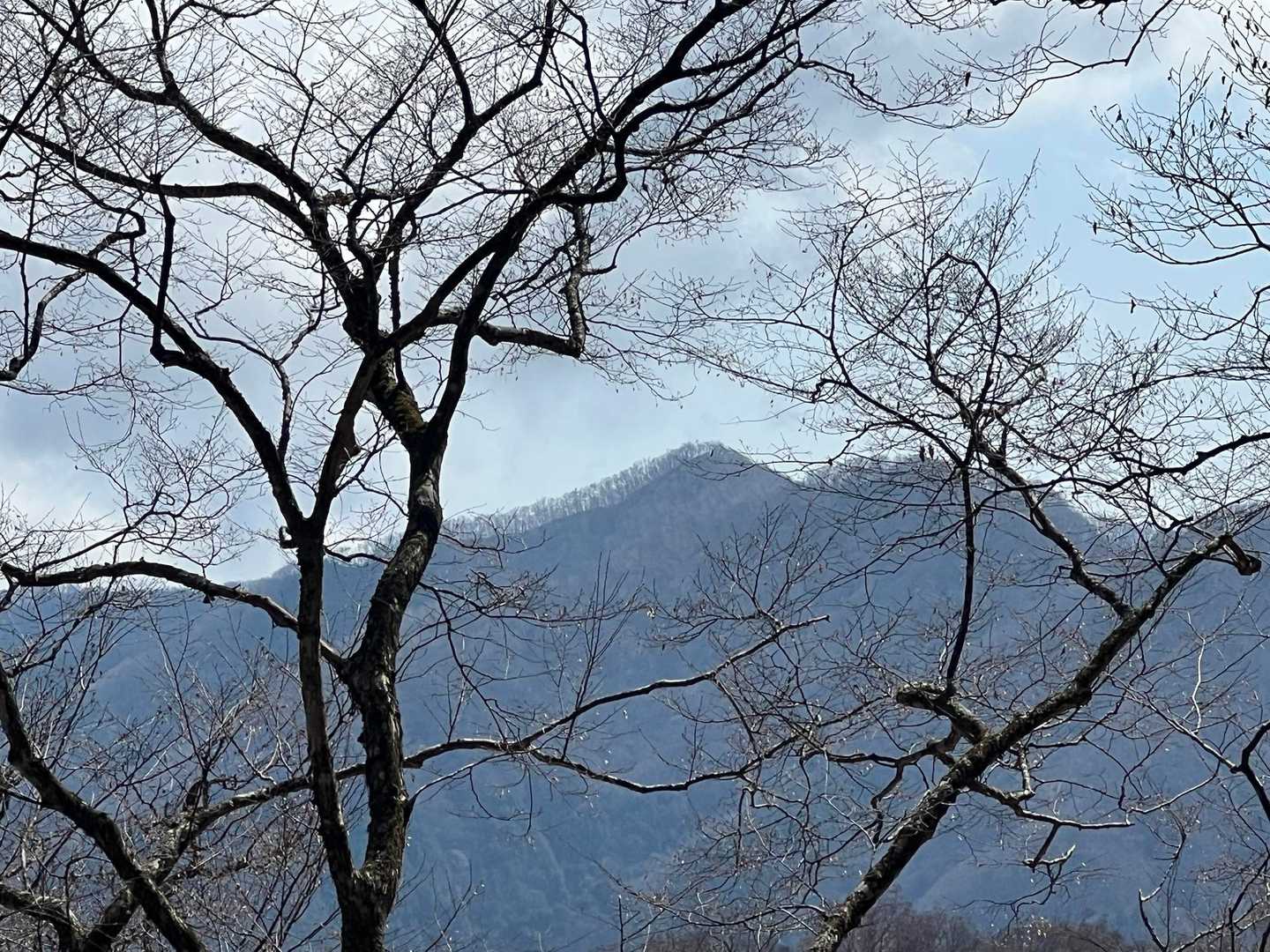 反対側を見ると、背稜の蕎麦粒パイセン👍