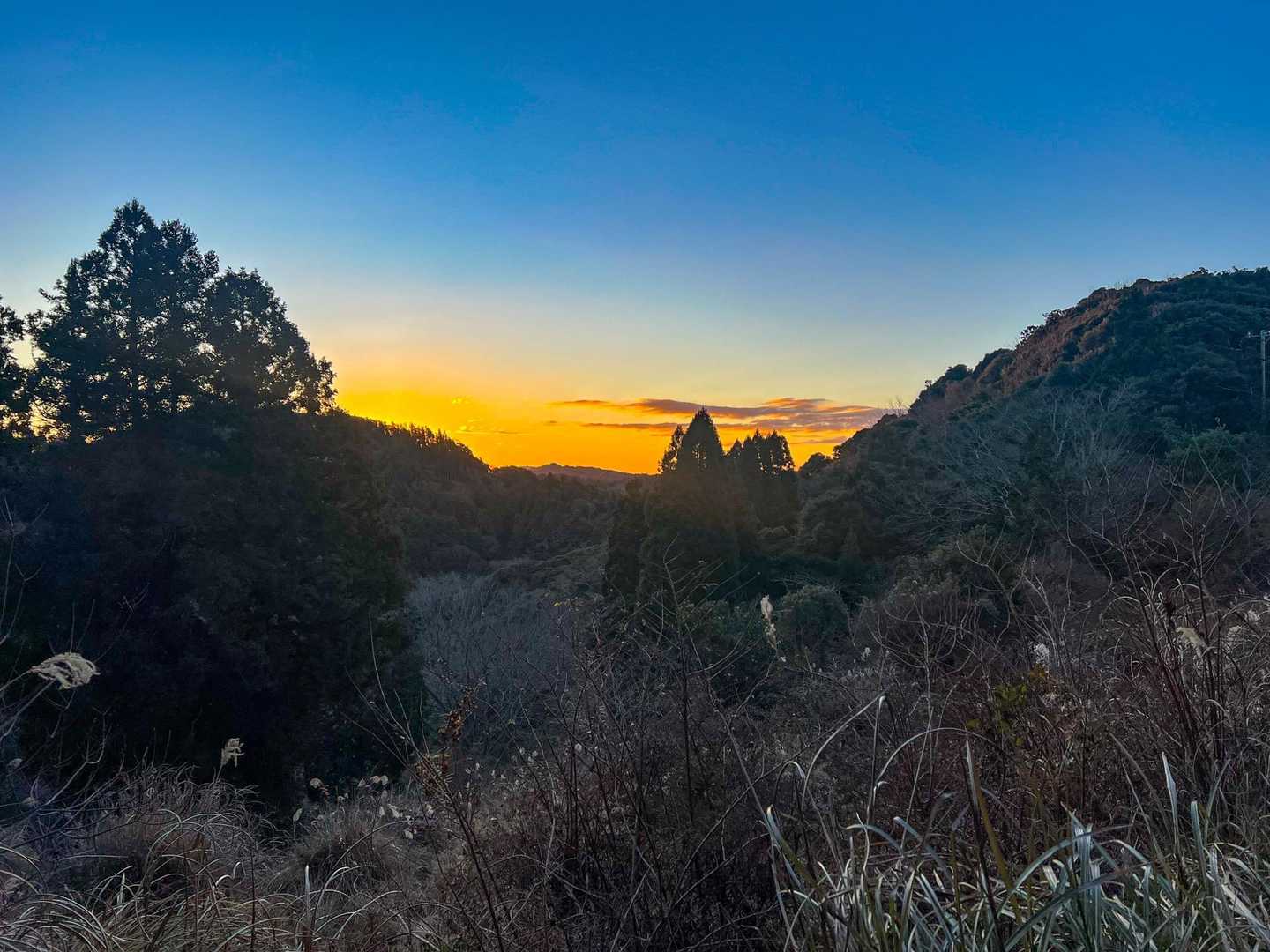 大塚山-三浦三良山-保田見峠-無実山-房州アルプス登山口 周回コースの写真