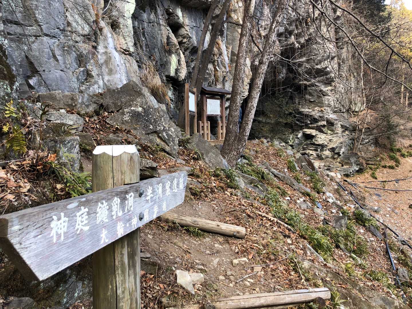観光の方もちらほら居ましたが…
うーん、何とも😅