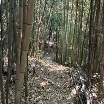 いったん下山