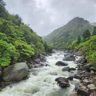 ほぼ1日中の雨で増水、激流に変わってました😨
