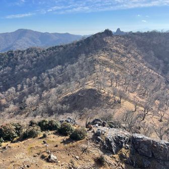 振り返ると、素敵な稜線
その奥にチョンとトンガリ🗻
鹿納山