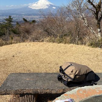 富士山を見ながら、桜どら焼きをいただきました😋