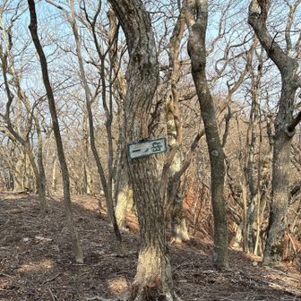 一ノ岳
101座目⛰️✨