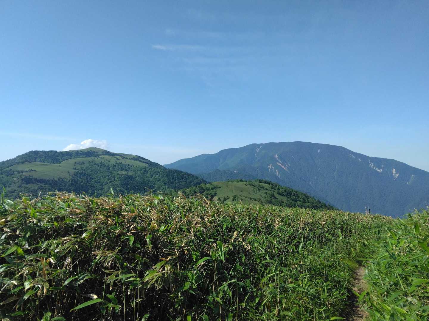 富士見台-湯舟沢山-横川山-南沢山-神坂山 周回コースの写真