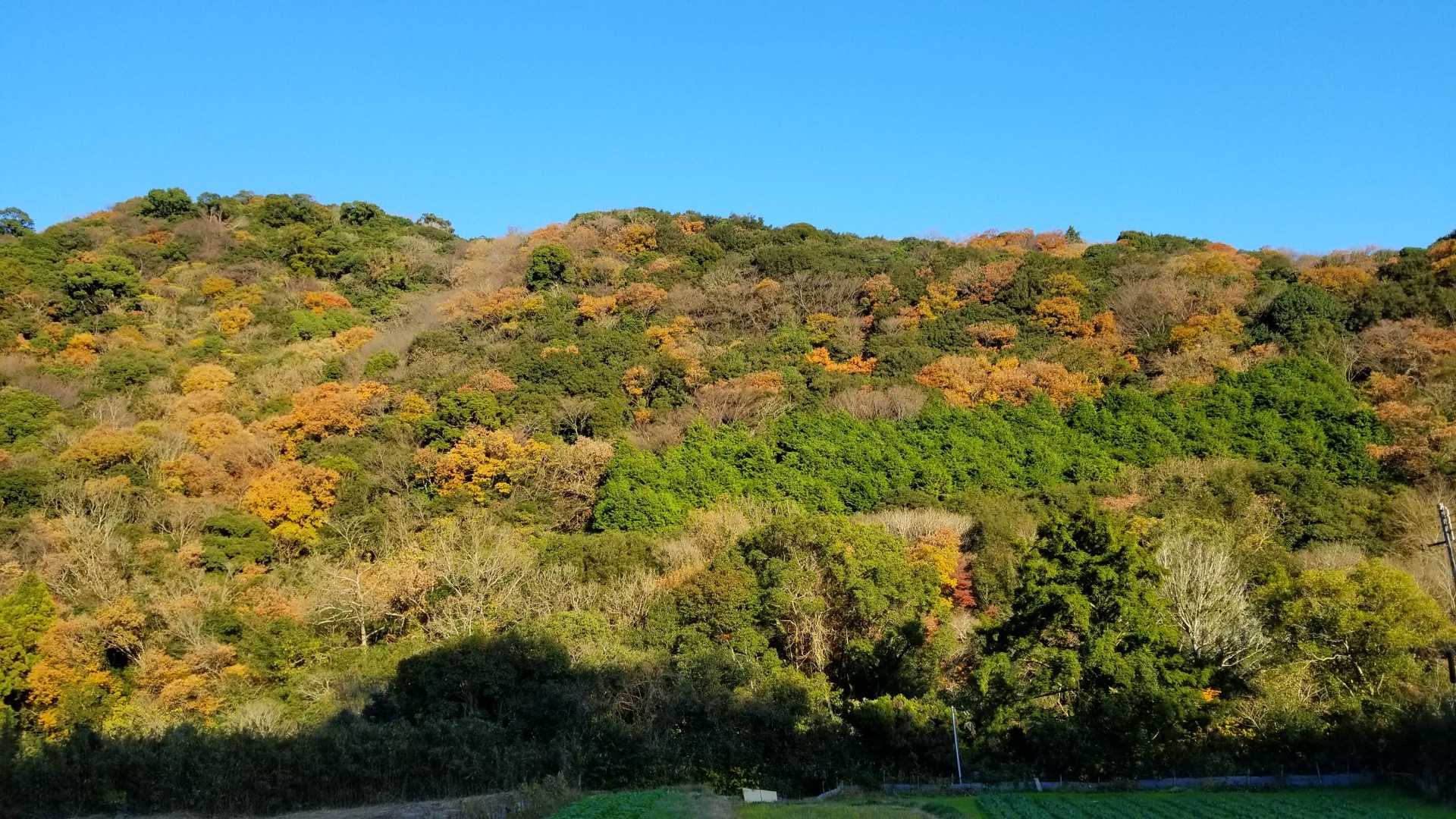 地蔵山-井関峠 周回コースの写真