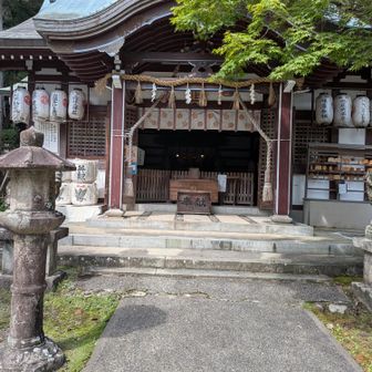 若山神社⛩️
たくさんの年配登山者の集団が休憩されてた〜今からあの急登登るみたい〜💪