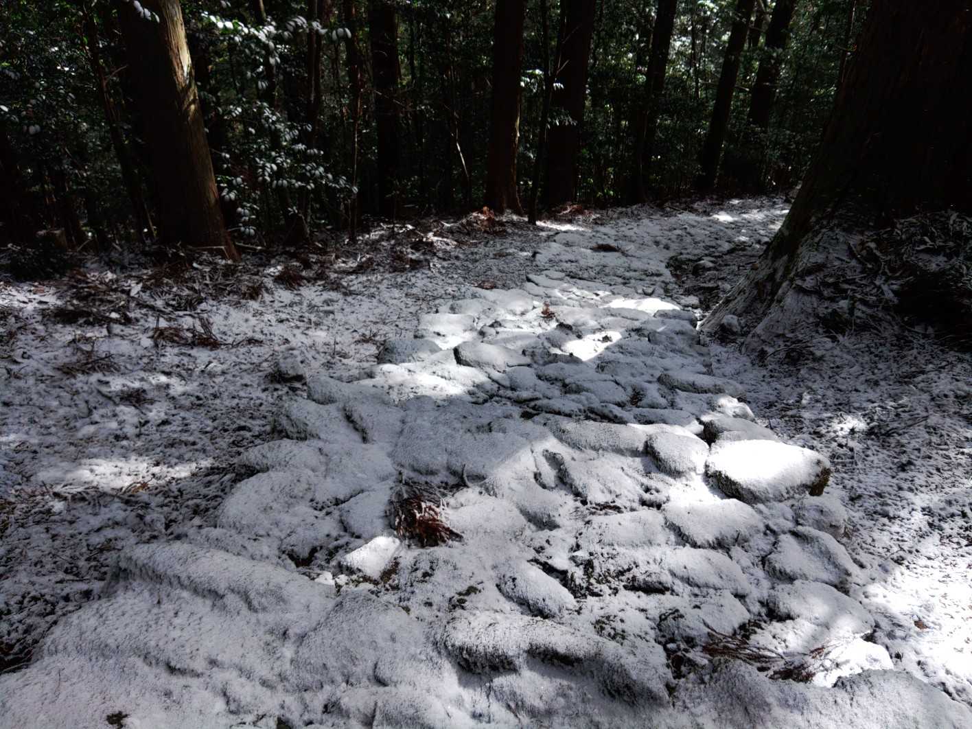 抜群の雰囲気