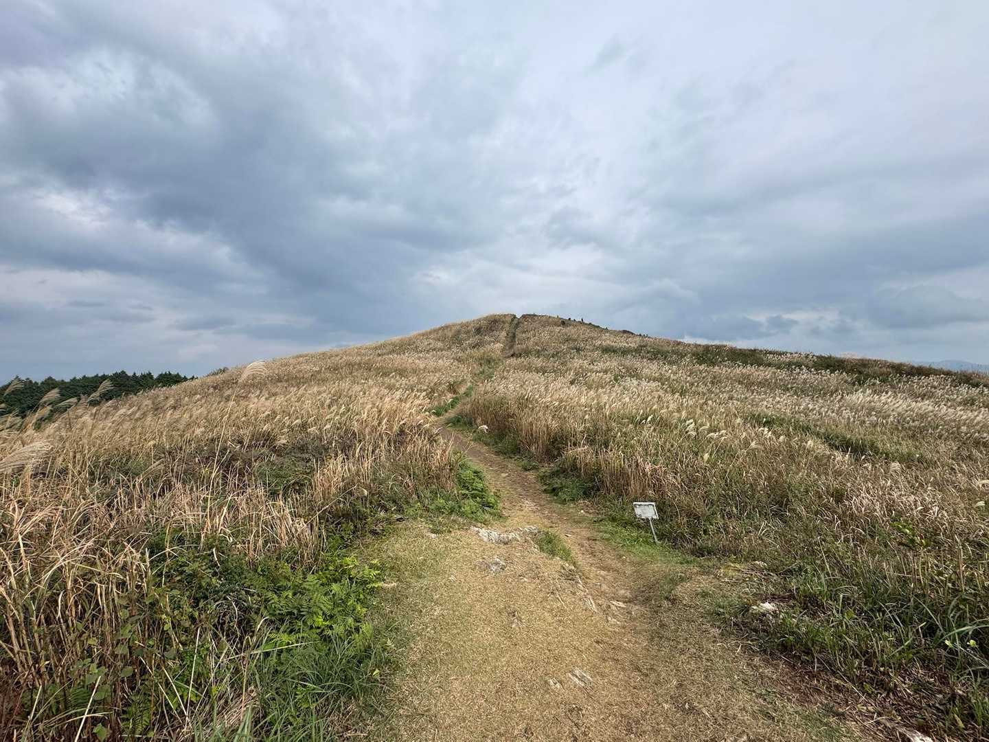 生石ヶ峰 往復コースの写真