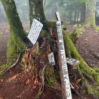 2日目、櫛形山山頂に到着。周囲はまだ霧の中だったが、登山者の方も数人。