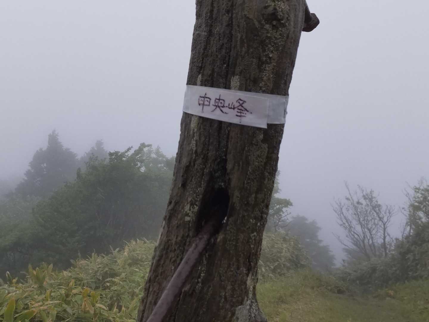 中央峰 🚩