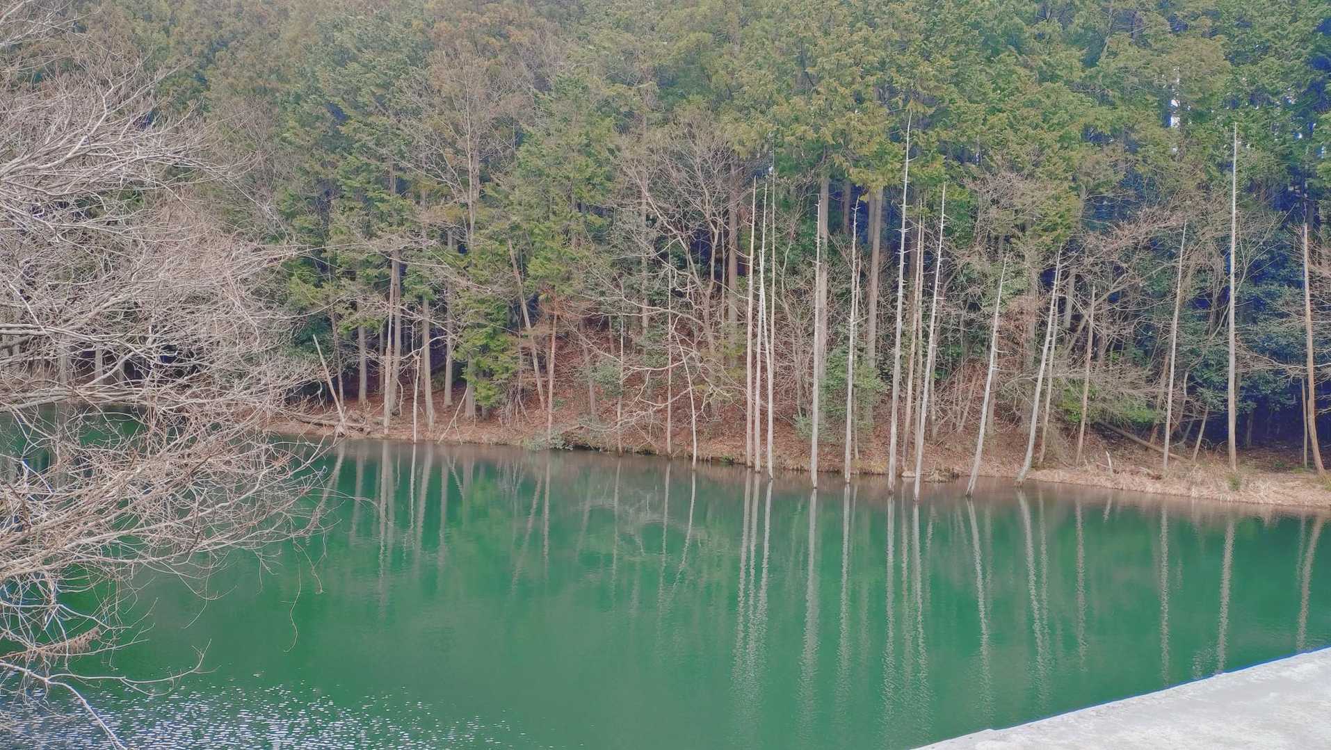 高畑山 往復コースの写真
