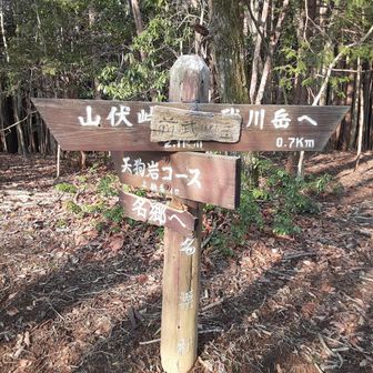 続いて前武川岳もピストンです。