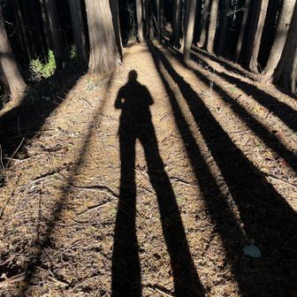 下ります。
背中に朝日が当たります