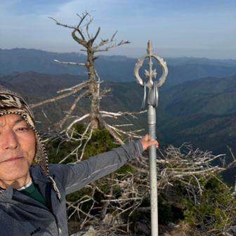 分け入っても青い山