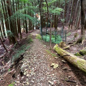 急坂の山道を下り切り