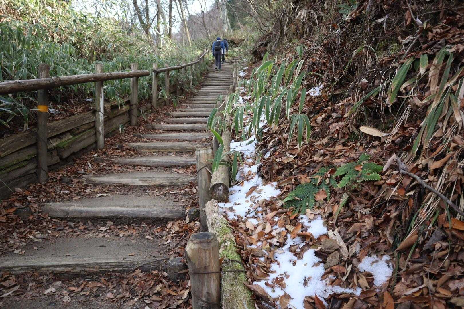 おっ、漸く❄チラッ