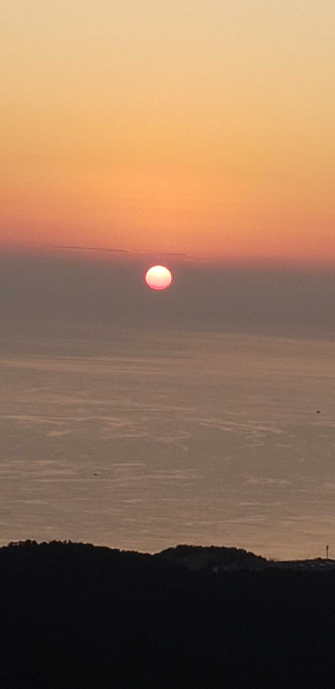 清水山 往復コースの写真