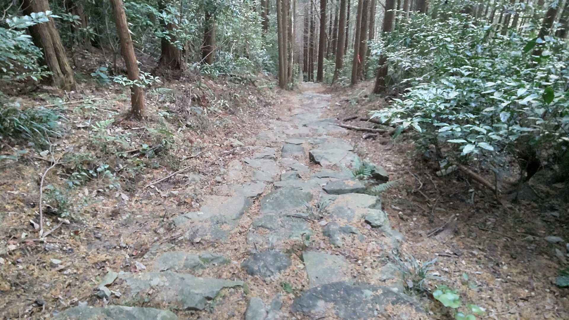 しっかりした石段の辺りに戻ってきた