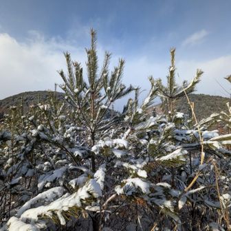 あとは住宅地を通って戻りました
帰りもヤギちゃんが笑顔で待っててくれて、とっても癒やされました🥰
下山後のカップラーメンって、なんであんなに美味しいんでしょ😋