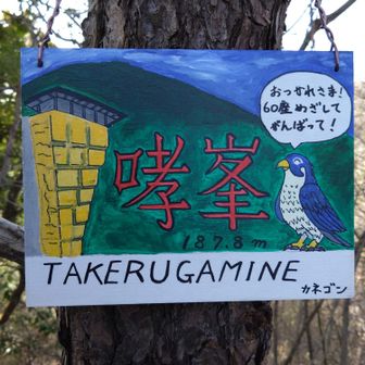 いちおう通行自粛なのでピークまで静かに歩いて通らせて貰いました
ハヤブサさんゴメンなさい