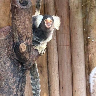 ユーザー俊二郎