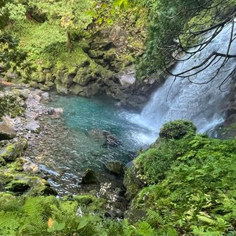 苔むした大きな岩も鳥海山らしい🪨